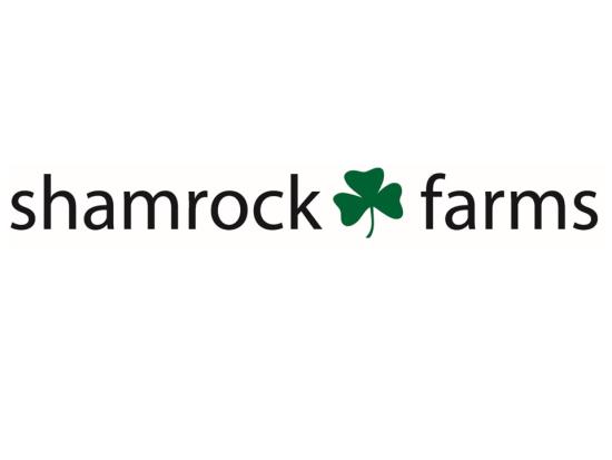 Shamrock Farms since 1948, purebred Angus cow/calf; camels; grasslands