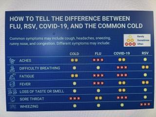 Flu, Cold, RSV or Covid 